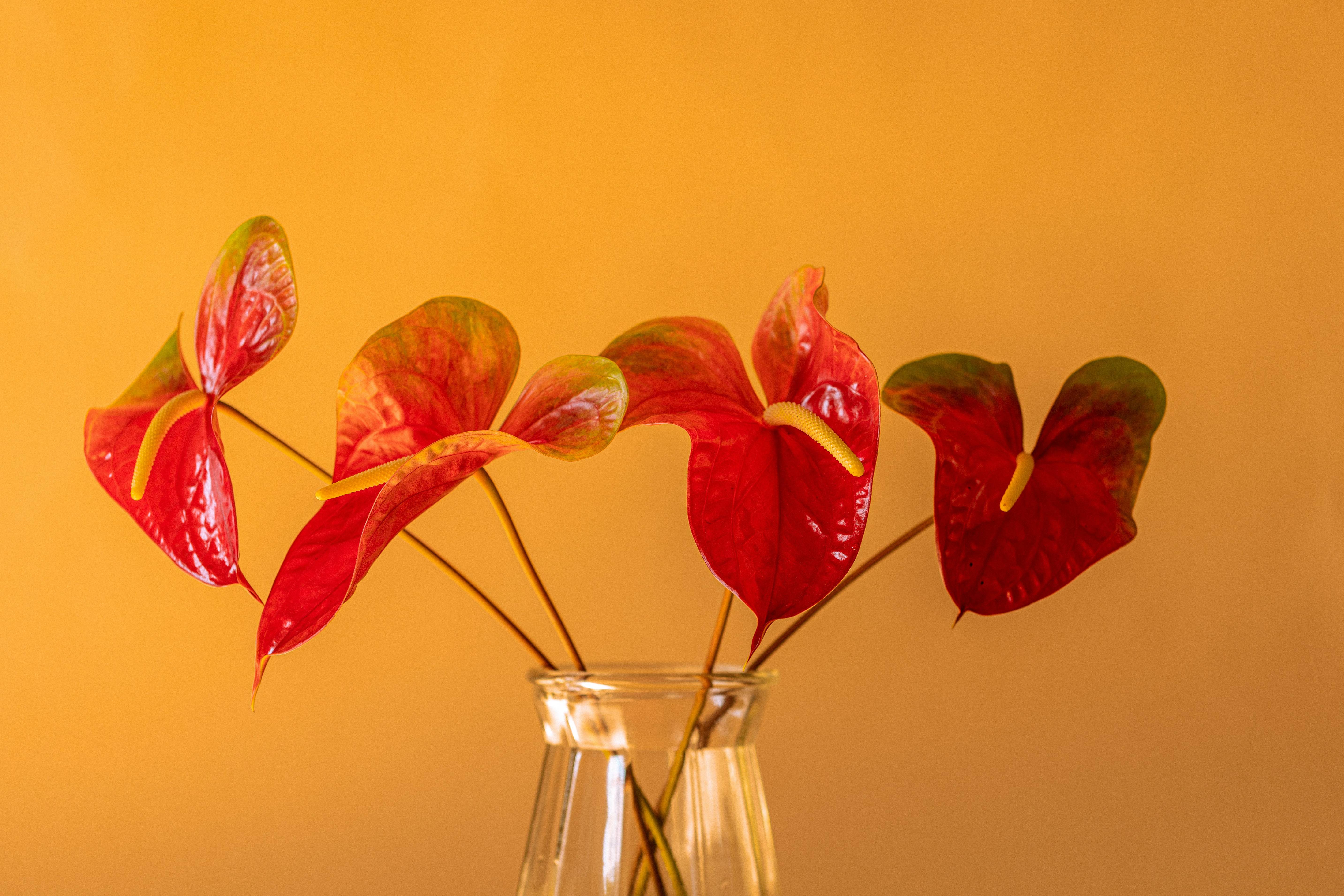 a vase filled with red and green leaves