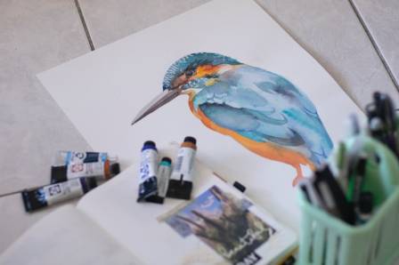Learn to Draw Birds