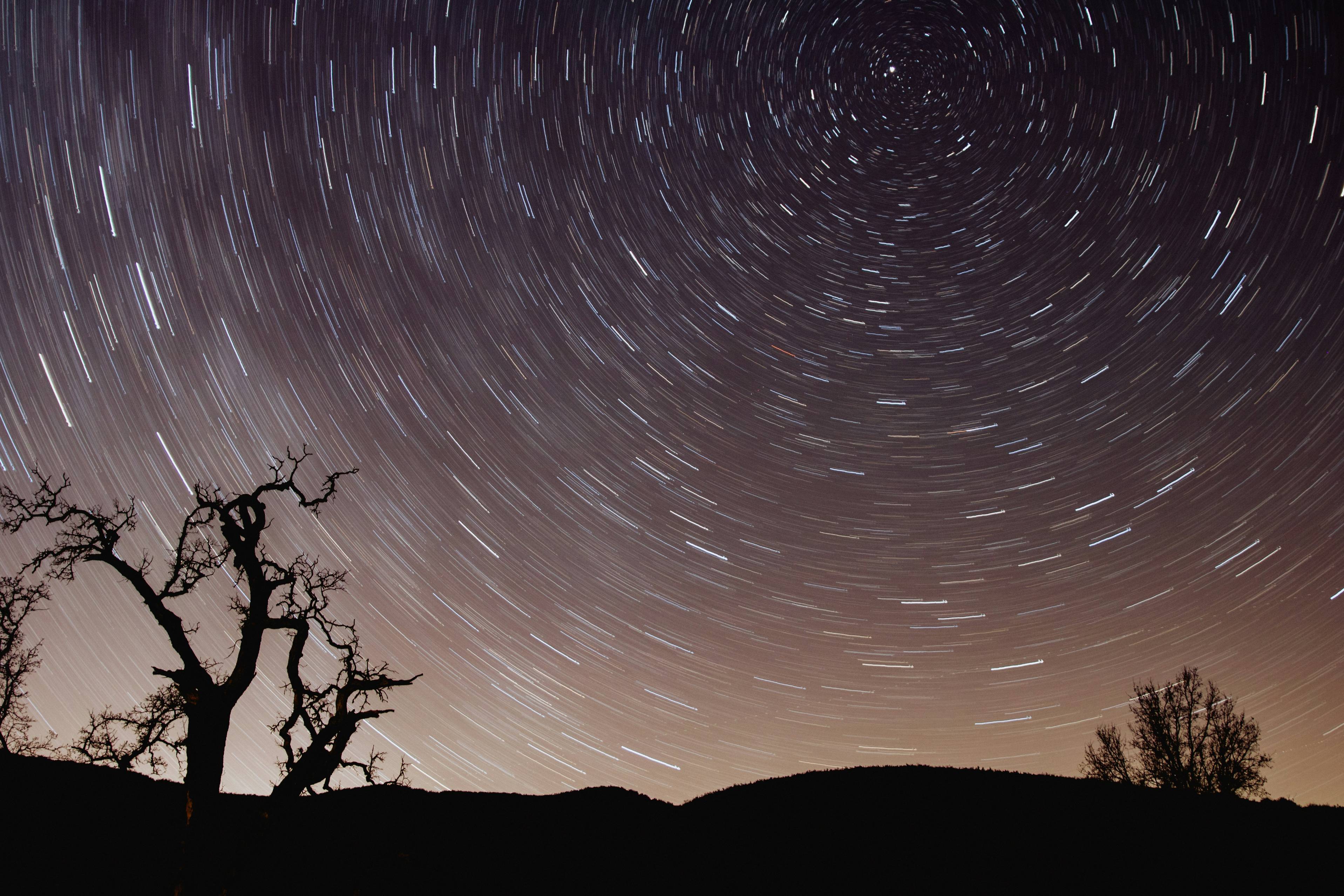 photo of star trail