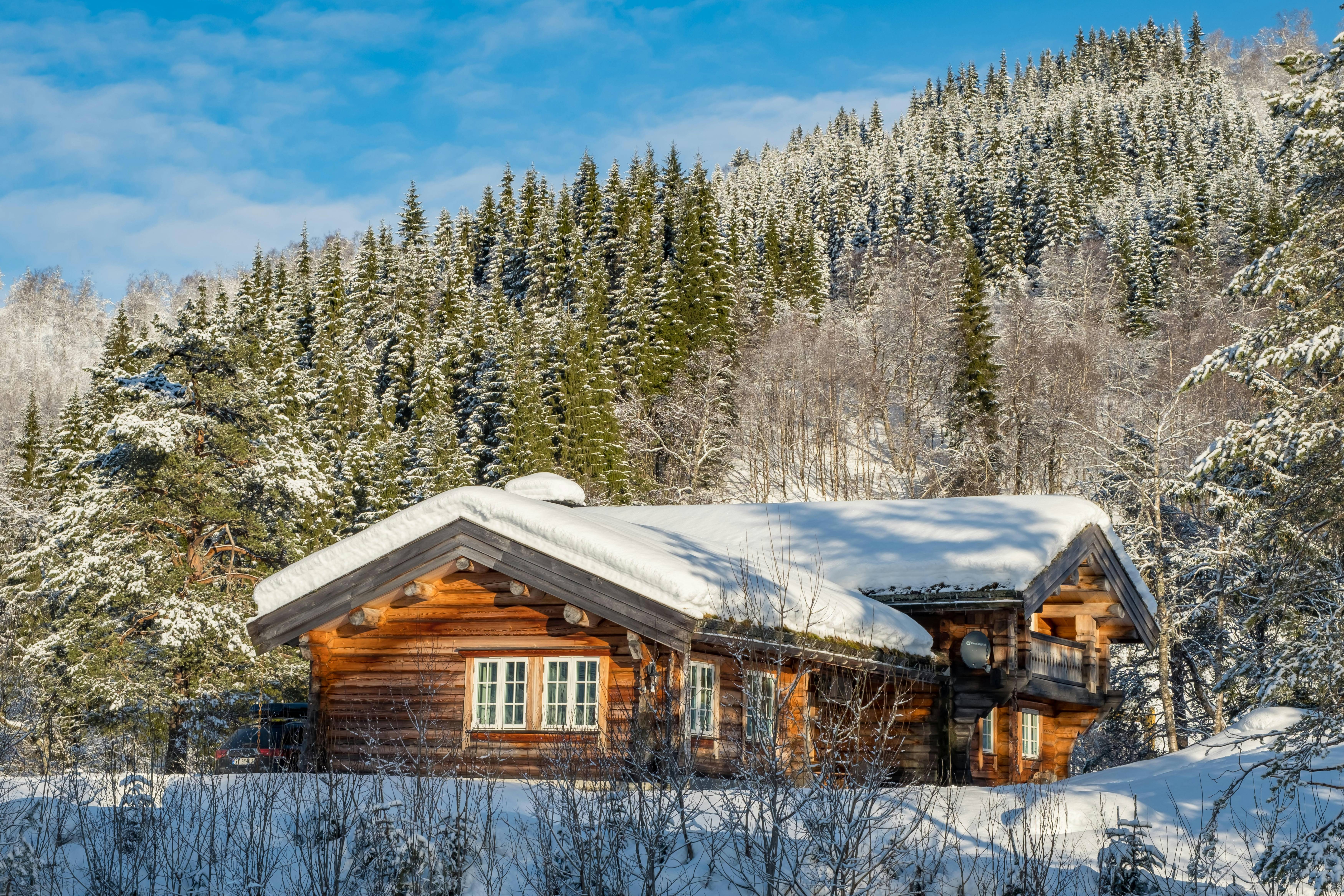 a log cabin in the middle of a snowy forest