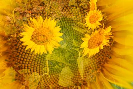 Make a Pixel Art Flower