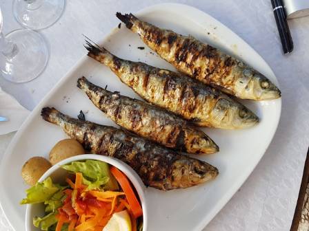 Best and Worst Fish for Your Health: A Comprehensive Guide to Seafood Choices