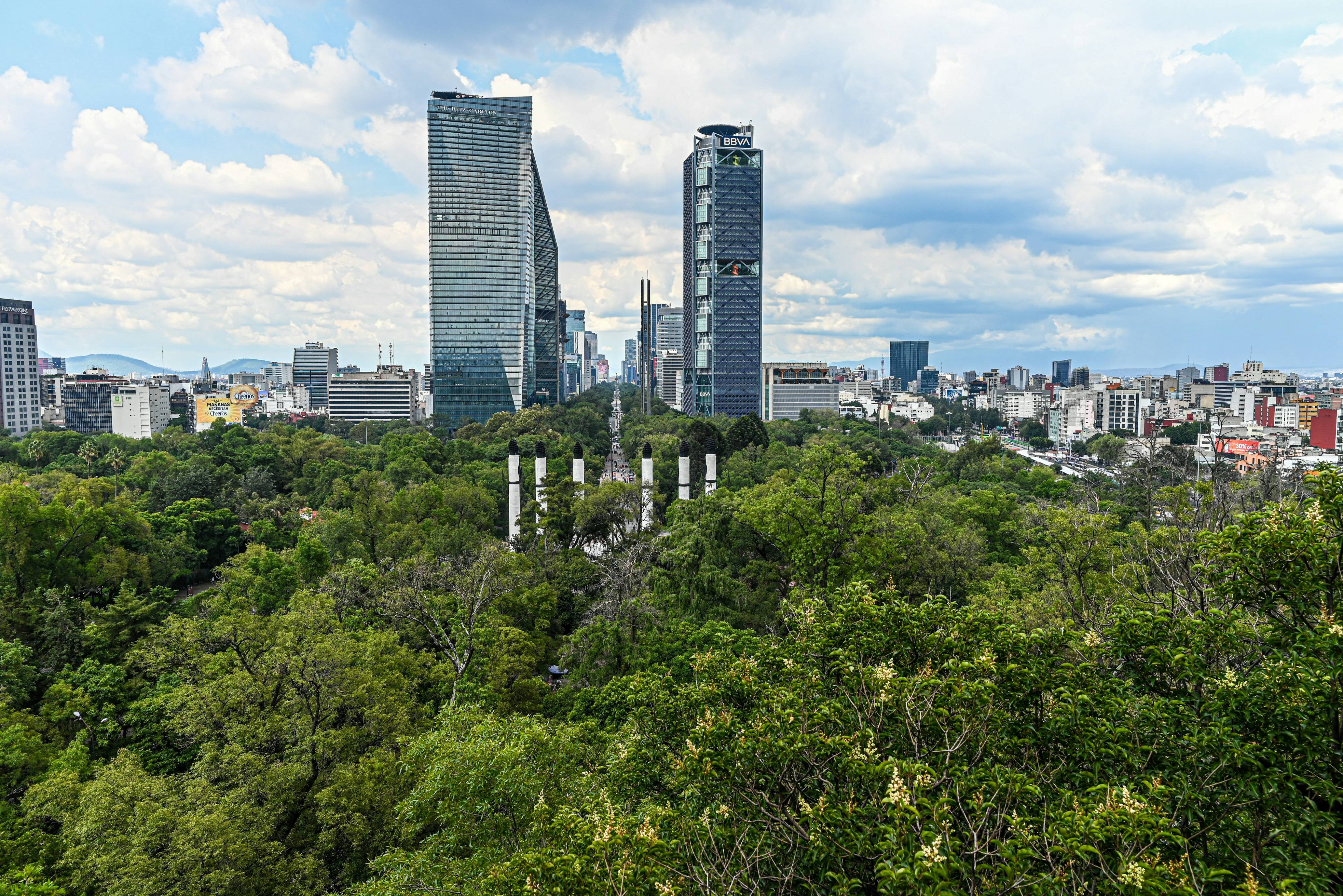 City skyline with skyscrapers and lush green park.