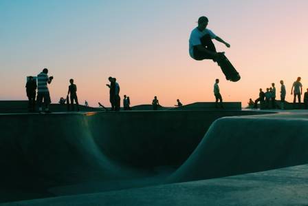Skateboarding Fun Facts: Dogs, Tricks, Legends, Money, and Giant Skateboards