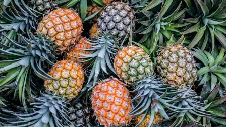 Pineapple: 5 Science-Backed Health Benefits & Easy Ways to Enjoy It