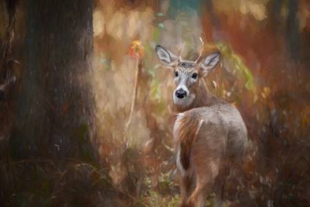 Deer Paintings – 10 Renowned Masterpieces