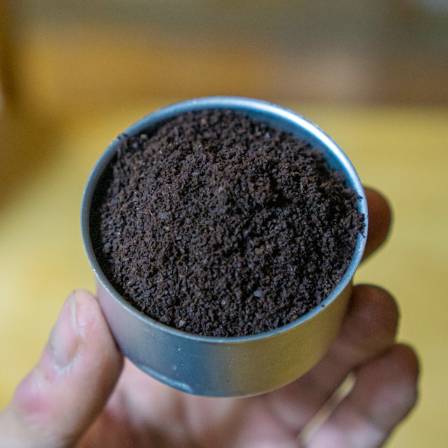 Navigating the Rich and Complex Landscape of Modern Coffee Culture