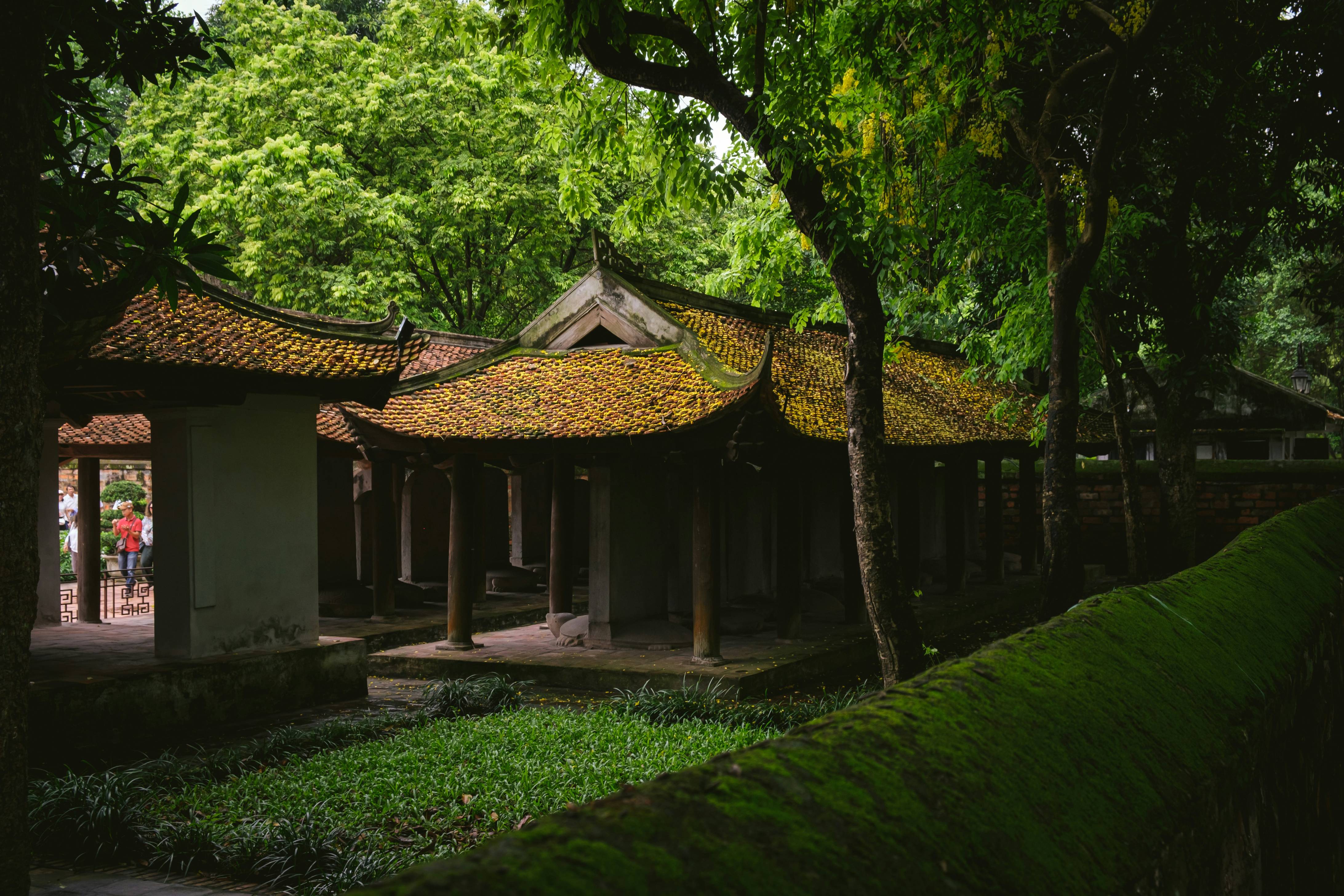 a building with a grass yard