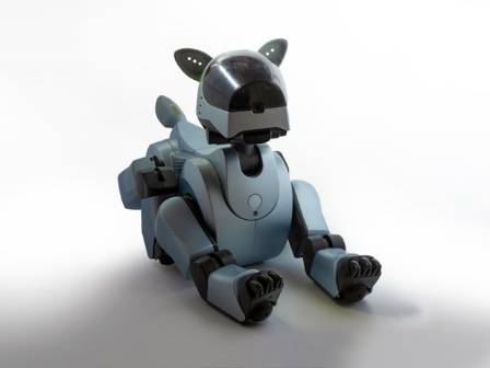 Fantastical robots inspired by animals and insects