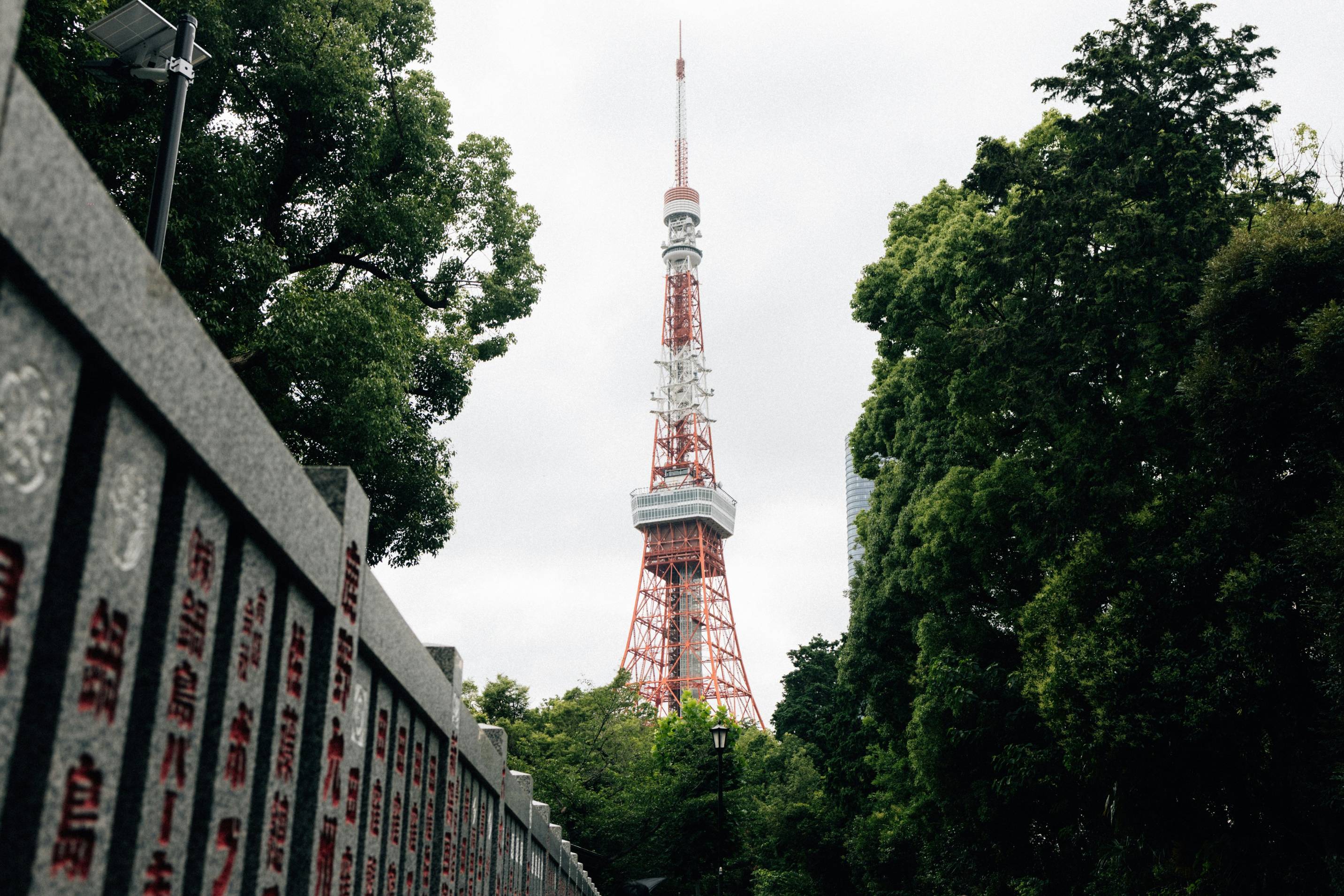 Tokyo tower framed by trees and a stone wall.