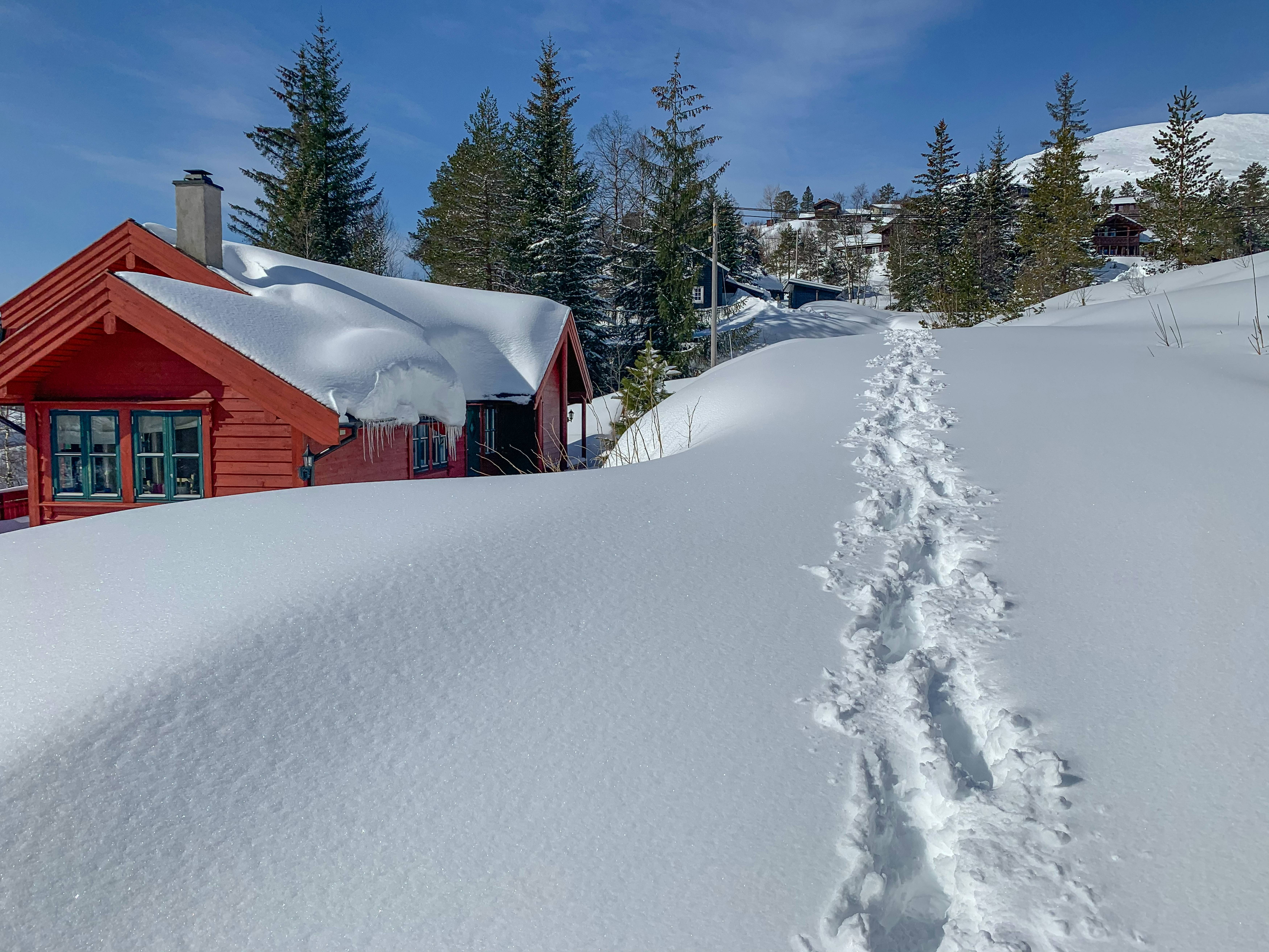 一条通往红色小屋的雪迹