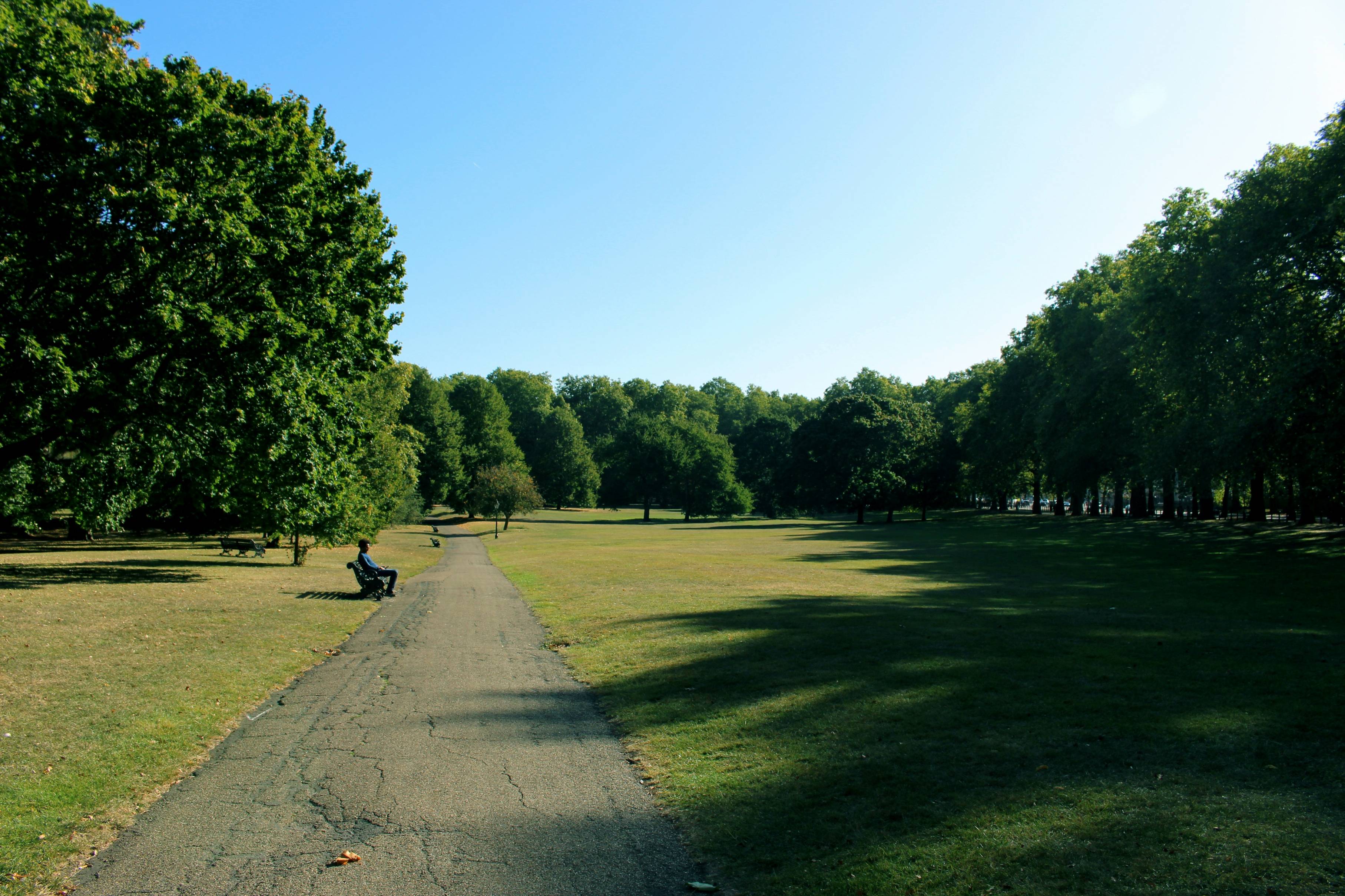 people walking on gray concrete pathway between green grass field during daytime