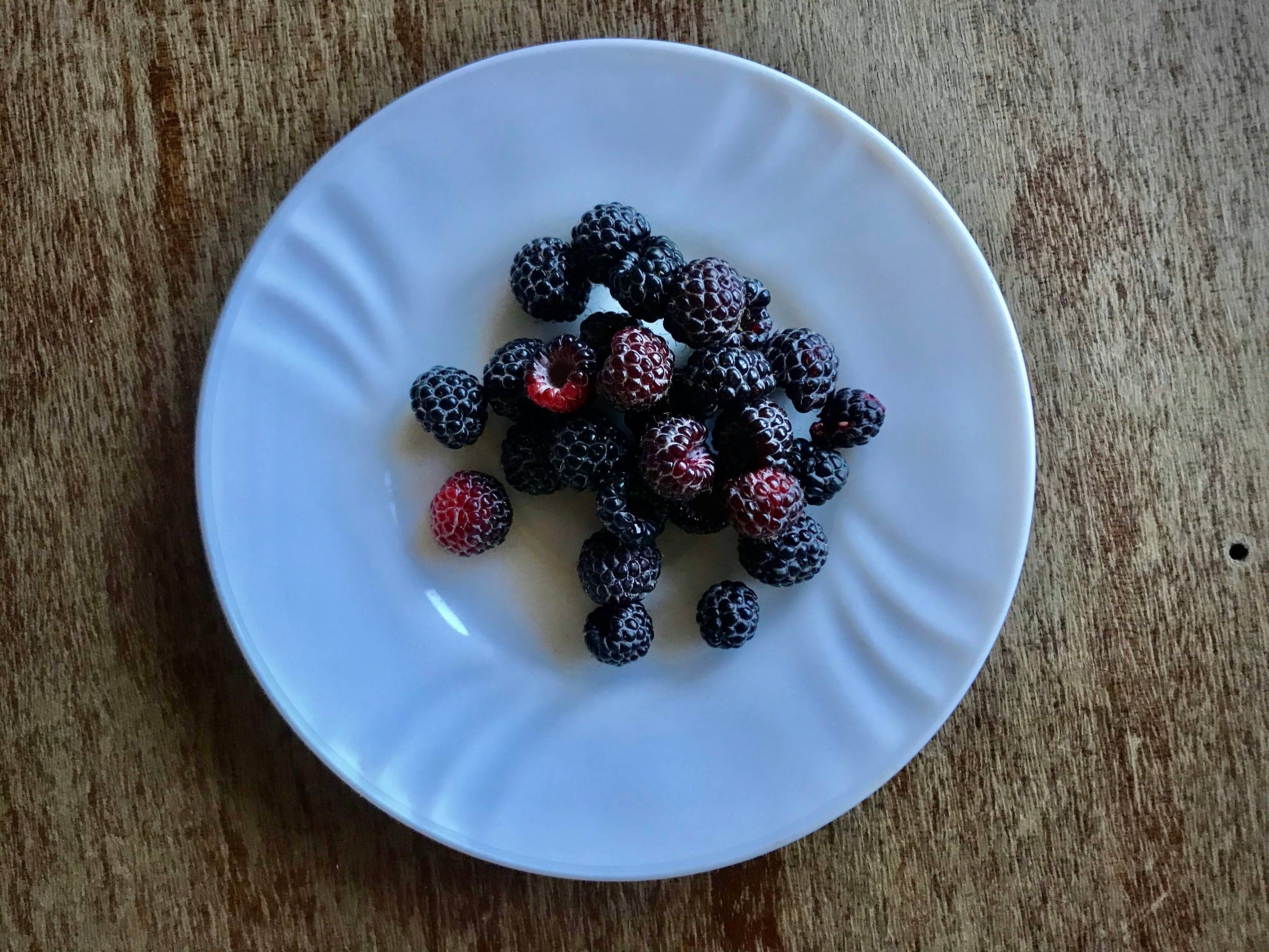 red and black berries on white ceramic plate