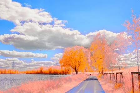 Easy Anime Landscape Drawing