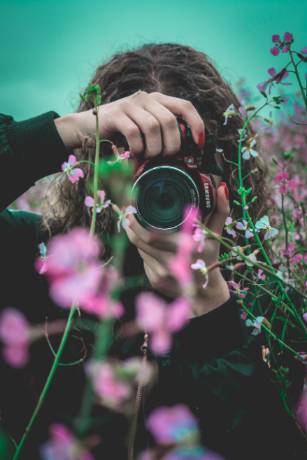 Mastering the Art of Plant Photography: Expert Tips and Techniques