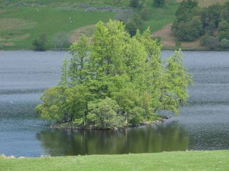 The Lone Tree of Lake Vrnwy
