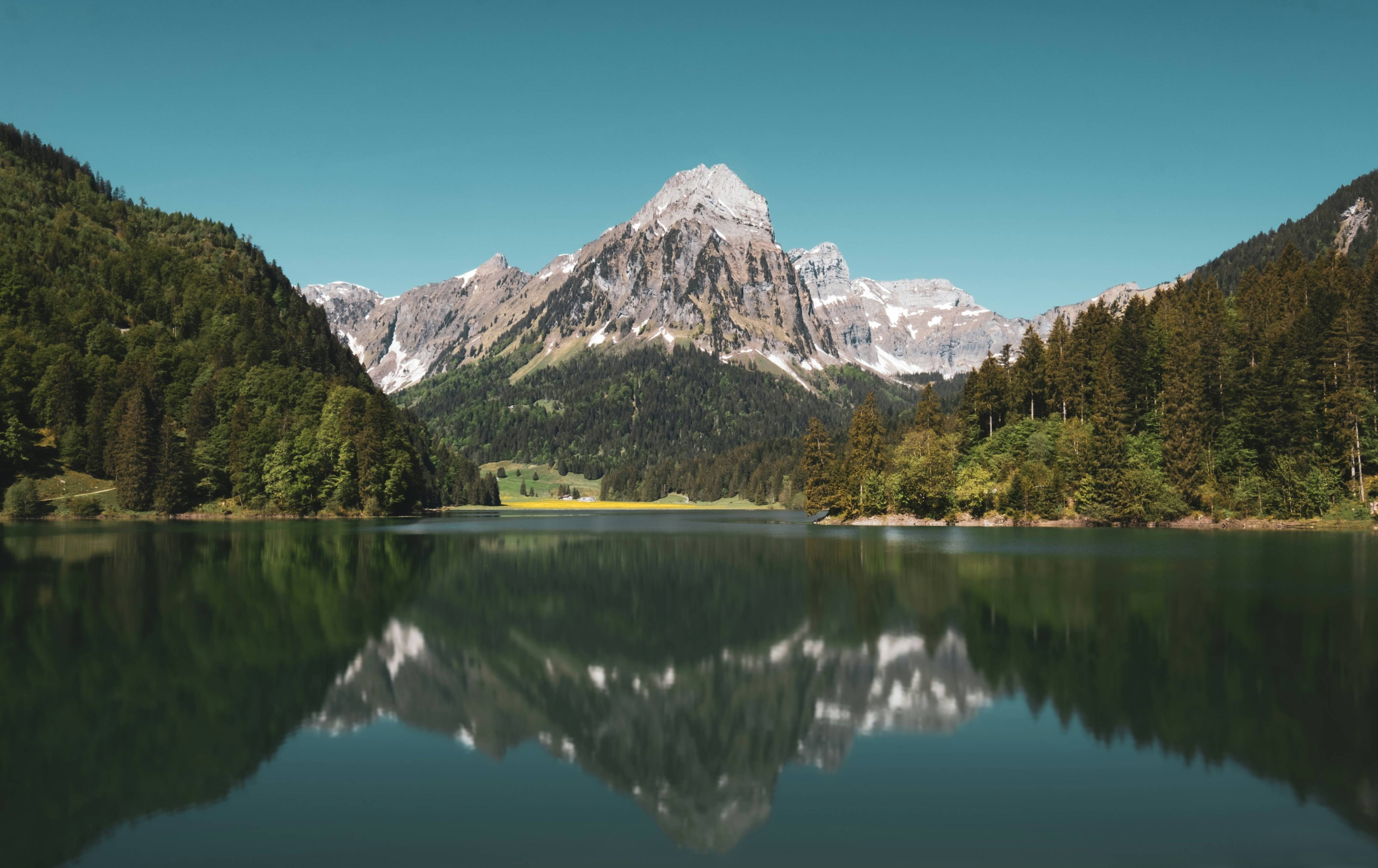 green trees near lake and mountain under blue sky during daytime